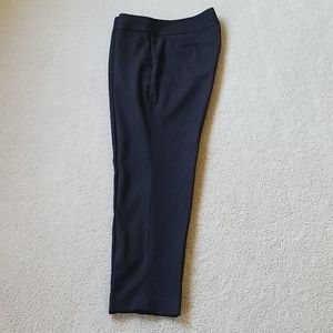 Ann Taylor Loft Marisa dress pants